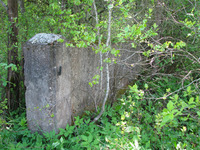 Photograph of: Jewish Cemetery in Kurenets.
