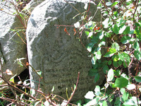 Photograph of: Jewish Cemetery in Bohorodchany.