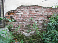 Photograph of: Synagogue in Vynohradiv.