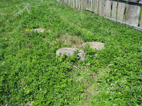 Photograph of: Jewish Cemetery in Bohorodchany.