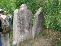 Photograph of: Jewish cemetery in Yazlovets (Jazłowiec).