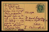 Finkelstein, Zygmund Föbus.