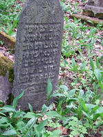 Photograph of: Jewish cemetery in Varakļāni, Latvia.