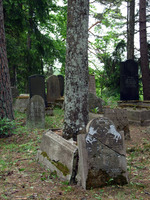 Photograph of: Jewish cemetery in Varakļāni, Latvia.