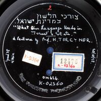 צרכי הלשון במדינת ישראל