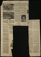 שמעון אגרנט.