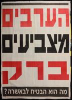 הערבים מצביעים ברק.