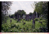Photograph of: Jewish cemetery in Făgăraș.