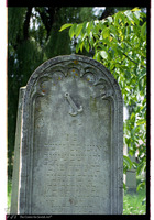 Photograph of: Jewish cemetery in Făgăraș.