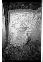 Photograph of: Jewish cemetery in Botoșani.