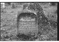 Photograph of: Jewish cemetery in Ştefăneşti.