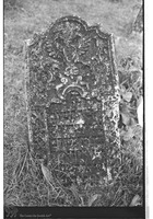 Photograph of: Jewish cemetery in Ştefăneşti.