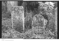 Photograph of: Jewish cemetery in Ştefăneşti.