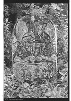 Photograph of: Jewish cemetery in Ştefăneşti.