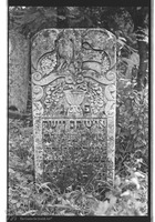 Photograph of: Jewish cemetery in Ştefăneşti.