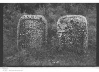 Photograph of: Jewish cemetery in Ştefăneşti.