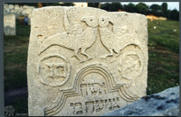 Photograph of: Jewish cemetery in Burshtyn (Bursztyn).