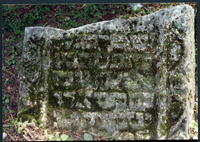 Photograph of: Lower Jewish cemetery in Budaniv (Budzanów).