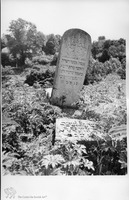 Photograph of: Jewish cemetery in Skala-Podilska (Skała-nad-Zbruczem, Skala-Podolskaia).