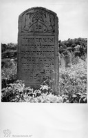 Photograph of: Jewish cemetery in Skala-Podilska (Skała-nad-Zbruczem, Skala-Podolskaia).