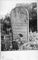 Photograph of: Jewish cemetery in Skala-Podilska (Skała-nad-Zbruczem, Skala-Podolskaia).