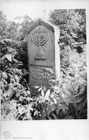 Photograph of: Jewish cemetery in Skala-Podilska (Skała-nad-Zbruczem, Skala-Podolskaia).