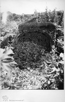 Photograph of: Jewish cemetery in Skala-Podilska (Skała-nad-Zbruczem, Skala-Podolskaia).