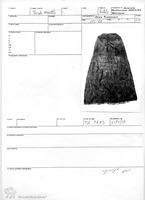 Photograph of: Torah mantle : Field documentation.