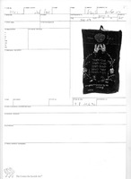 Photograph of: Torah Mantle : Field documentation.