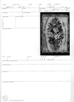 Photograph of: Halah cover : Field documentation.