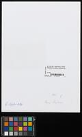 Postcard by Marco Mortara to David Kaufmann, IV.