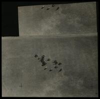 זולטן קלוגר - תצלום אוויר.