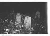 Photograph of: Jewish cemetery in Musninkai.