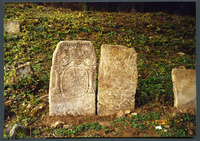 Photograph of: Jewish cemetery in Staryi Sambir.