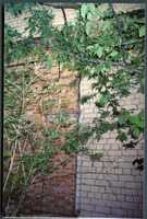 Photograph of: Synagogue in Novozlatopil.