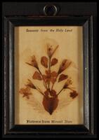Framed Dried Flowers Souvenir from the Holy Land - 'Flowers from Mount Zion'.