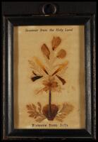 Framed Dried Flowers Souvenir from the Holy Land - 'Flowers from Jaffa'.