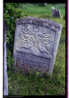 Photograph of: Jewish Cemetery in Ustya-Zelene.