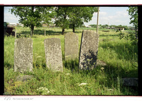 Photograph of: Jewish cemetery in Leshniv (Leszniów).