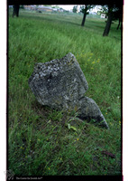 Photograph of: Jewish cemetery in Leshniv (Leszniów).