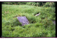 Photograph of: Jewish cemetery in Komarno : Tombstone.