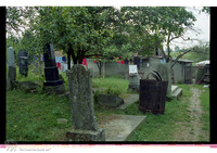 Photograph of: Jewish cemetery in Vinkovci.