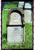 Photograph of: Jewish cemetery in Bobowa.