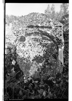 Photograph of: Jewish cemetery in Skala-Podilska (Skała-nad-Zbruczem, Skala-Podolskaia).