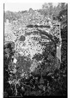 Photograph of: Jewish cemetery in Skala-Podilska (Skała-nad-Zbruczem, Skala-Podolskaia).