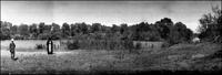Einot Tzukim (brackish spring).