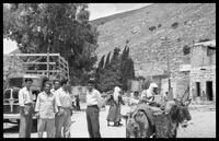 קבוצה של גברים עומדים ברחוב ומאחוריהם מכונית ולידם גבר עם שני חמורים.