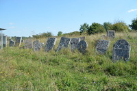 Photograph of: Jewish Cemetery in Sataniv, photos 2014.