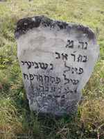 Photograph of: New Jewish Cemetery in Medzhybizh.