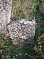 Photograph of: New Jewish Cemetery in Medzhybizh : Tombstone of Shaul son of Haim.
